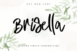 Brisella – Personal Use Font