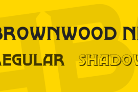 Brownwood NF Font Family