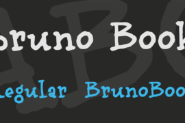 bruno Book Font Family