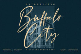 Buffalo City Font Family