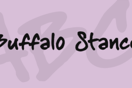 Buffalo Stance Font