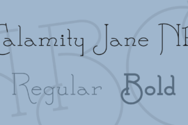Calamity Jane NF Font Family