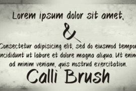 CalliBrush Font