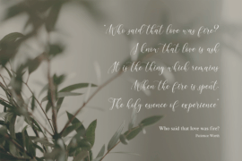 Cardigan Christmas Font Family