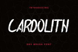 Cardolith Demo Font
