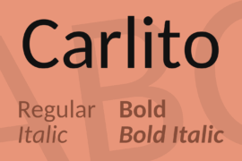 Carlito Font Family