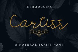 Carllis DEMO Font Family