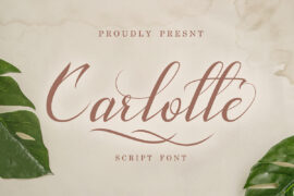 Carlotte Font