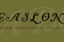 Caslon Font Family