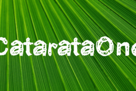 CatarataOne Font