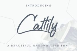 Cattily Demo Font