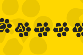Catty Font