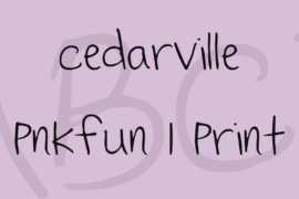 Cedarville Pnkfun 1 Print Font