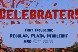 Celebrater PERSONAL USE Font