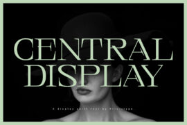 Central Display DEMO Font Family