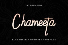 Chameetademo Font
