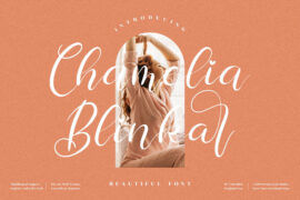 Chamelia Blinkar Font Family