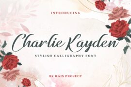 Charlie Kayden Demo Font