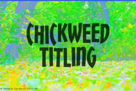 Chickweed Titling Font