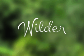 Chinal Light PERSONAL USE ONLY Font