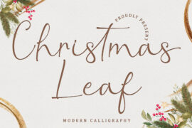 Christmas Leaf – Personal Use Font