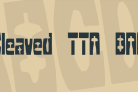 Cleaved TTR BRK Font