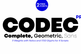 Codec Pro Font Family