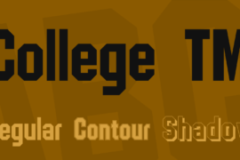 College TM Font Family