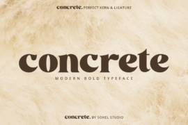 concrete demo Font