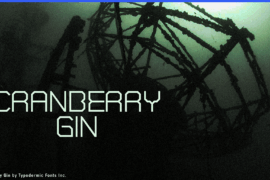 Cranberry Gin Font