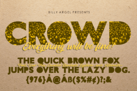 CROWD PERSONAL USE Font