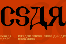 CSAR Font Family