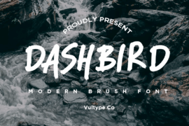 DASHBIRD Font