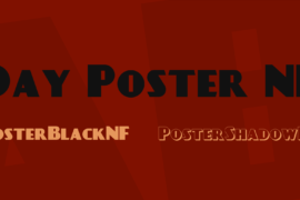 Day Poster NF Font Family