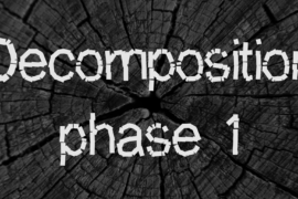 Decomposition phase 1 Font