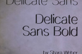 DelicateSans Font Family
