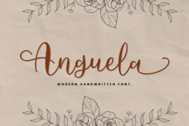 Demo Anguela Font