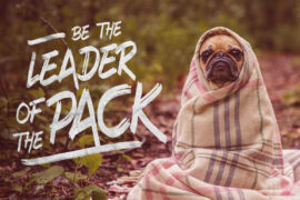 demo Black Anemone Font