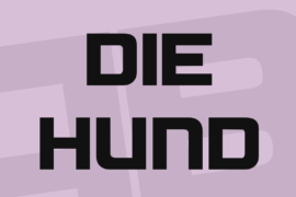 Die Hund Font