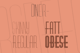 Diner- Font Family