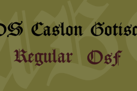 DS Caslon Gotisch Font Family