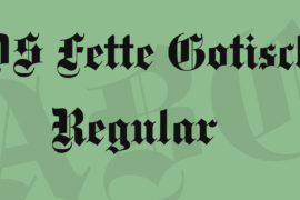 DS Fette Gotisch Font