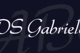 DS Gabriele Font