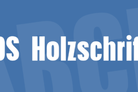DS Holzschrift Font