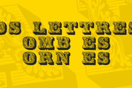 DS Lettres ombées ornées Font