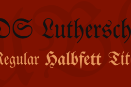 DS Luthersche Font Family