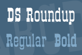DS Roundup Font Family