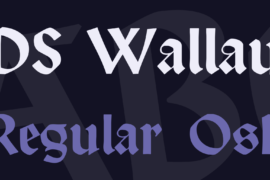 DS Wallau Font Family