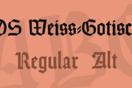 DS Weiss-Gotisch Font Family
