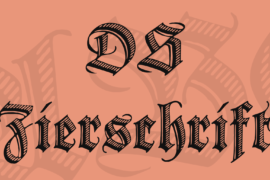 DS Zierschrift Font